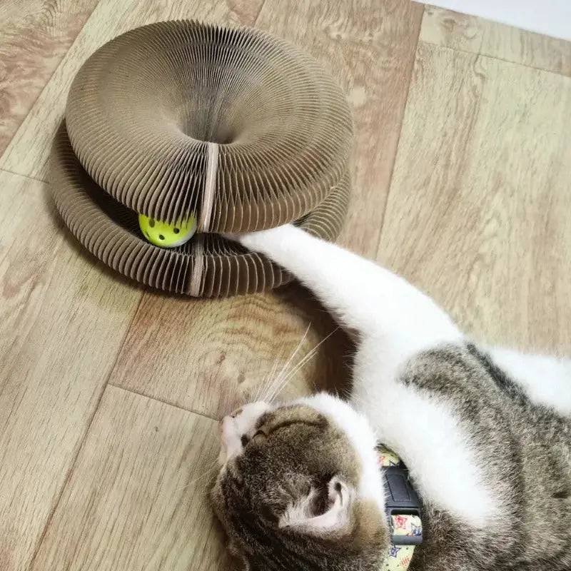 Brinquedo Sanfona para Gatos Smart Casas
