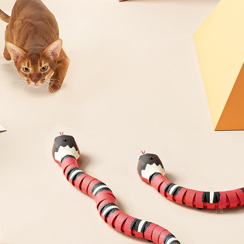 Brinquedo Interativo Cobra Smart para Gatos Smart Casas