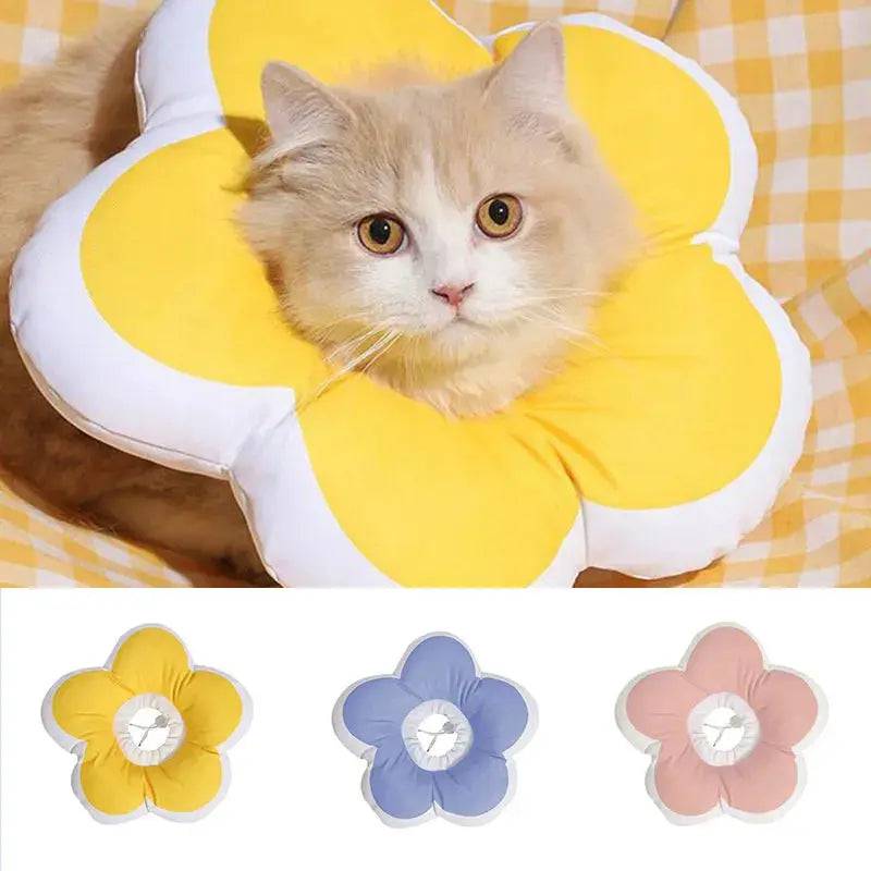 Cone Flor para Gatos Smart Casas
