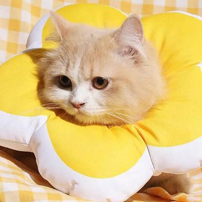 Cone Flor para Gatos Smart Casas