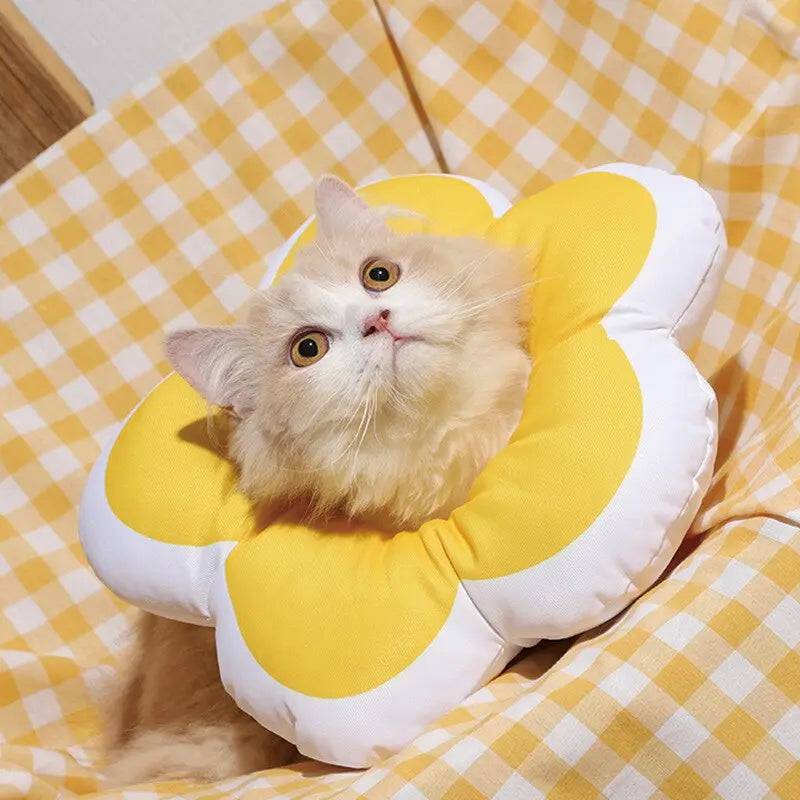 Cone Flor para Gatos Smart Casas