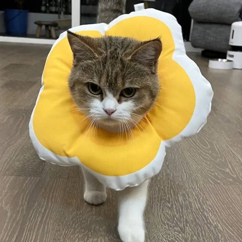 Cone Flor para Gatos Smart Casas