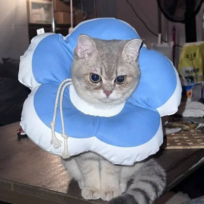 Cone Flor para Gatos Smart Casas