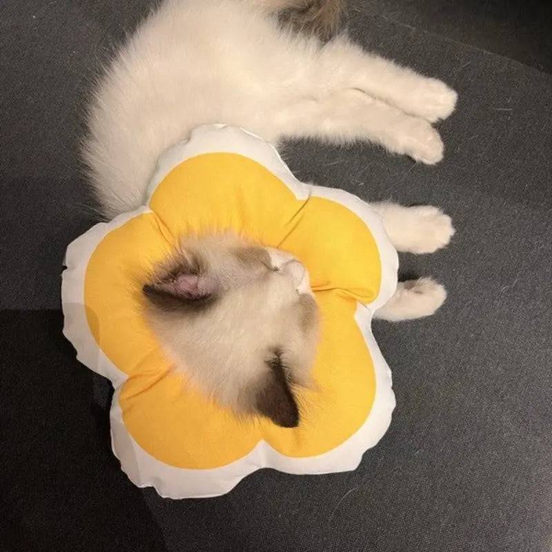 Cone Flor para Gatos Smart Casas
