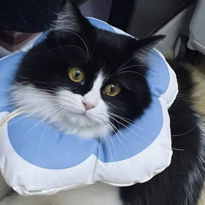 Cone Flor para Gatos Smart Casas