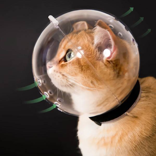 Capacete de Proteção Anti-Mordidas para Gatos Smart Pet Shop