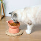 Bowl de Alimentação com Proteção Cervical para Gatos Smart Pet Shop