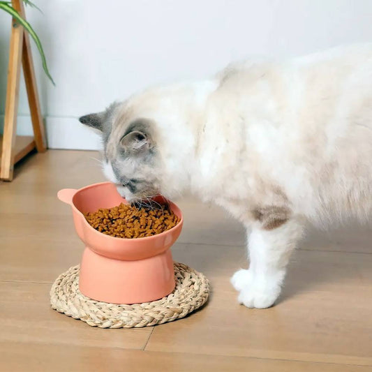Bowl de Alimentação com Proteção Cervical para Gatos Smart Pet Shop