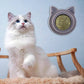 Rolinho Adesivo de CATNIP para Gatos Smart Pet Shop